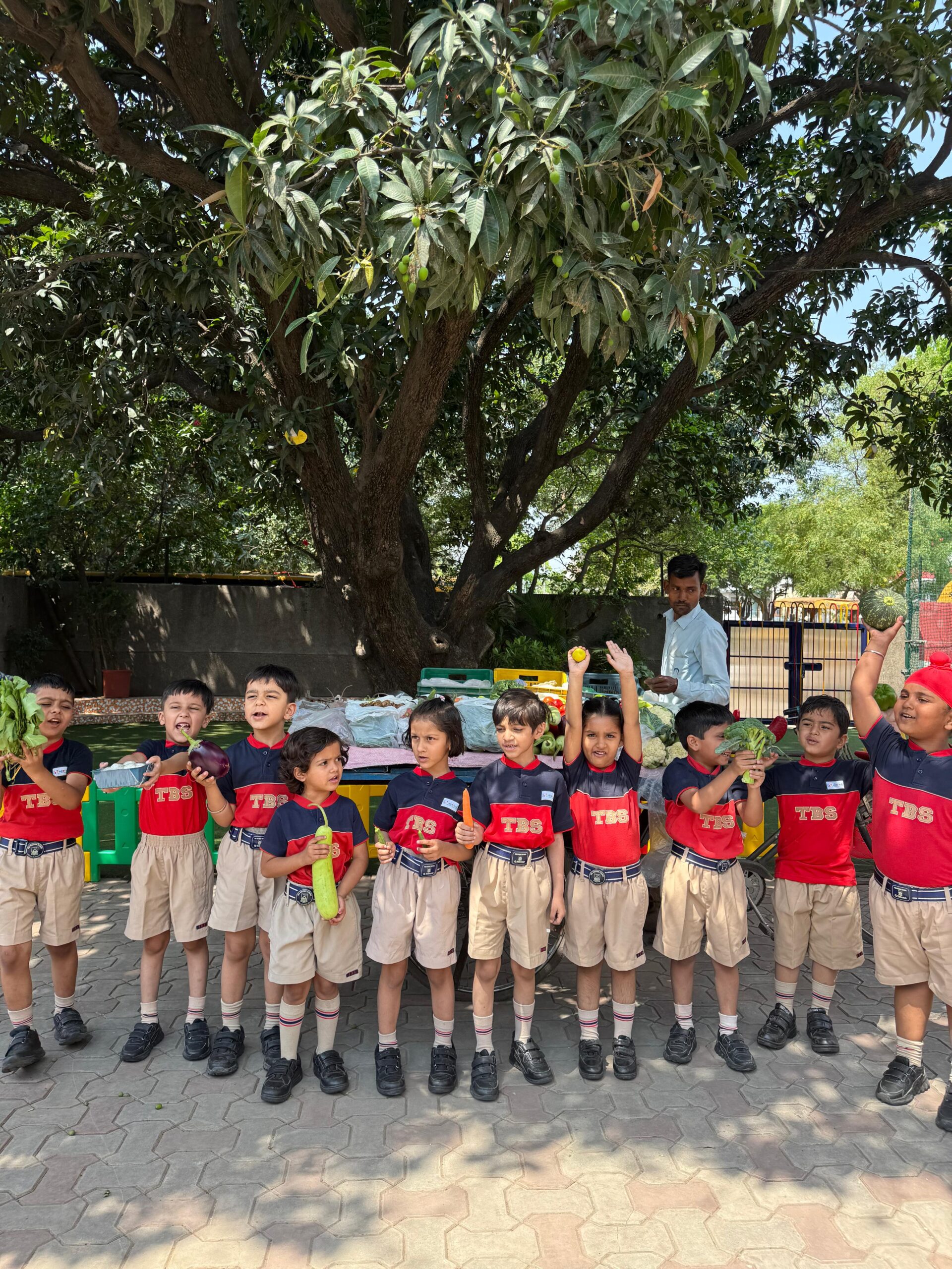Playway School in Panchkula
